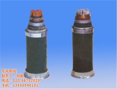 掌控精准连接 电线电缆、东风电缆及肇庆电线电缆在控制电缆领域的应用与价值